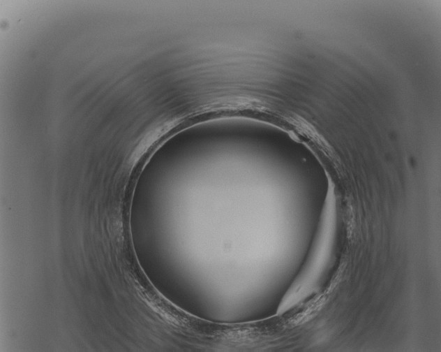 X0000068830834200605121339