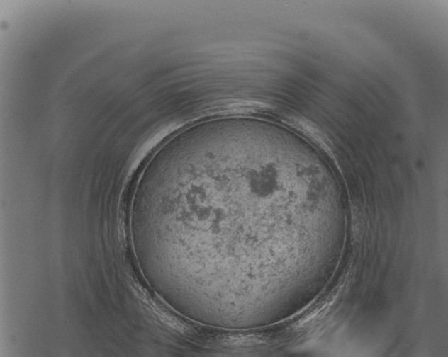 X0000068830835200605121339