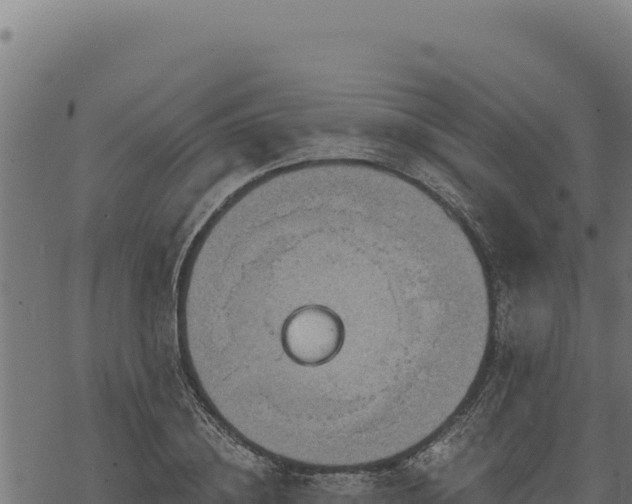 X0000068830836200605121339