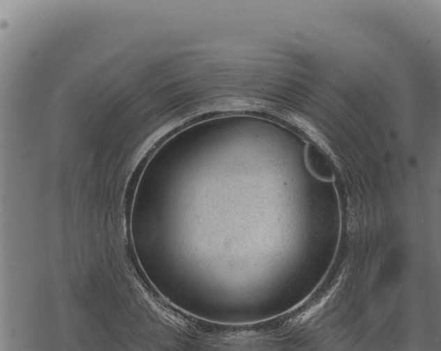 X0000068830837200605121339