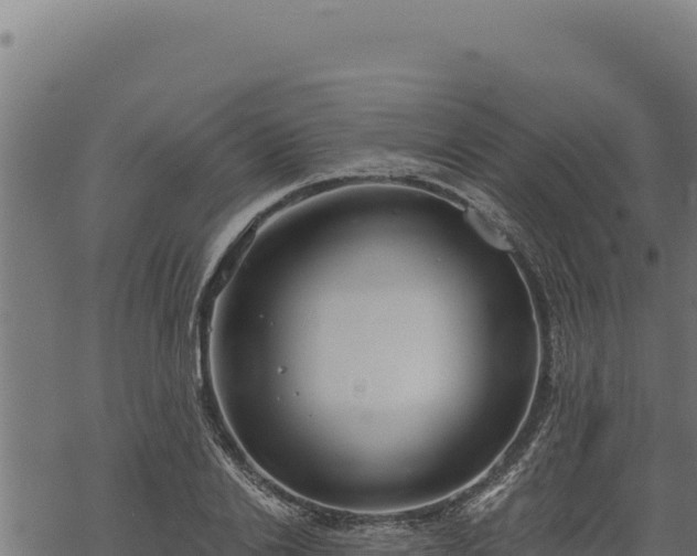 X0000068830838200605121339