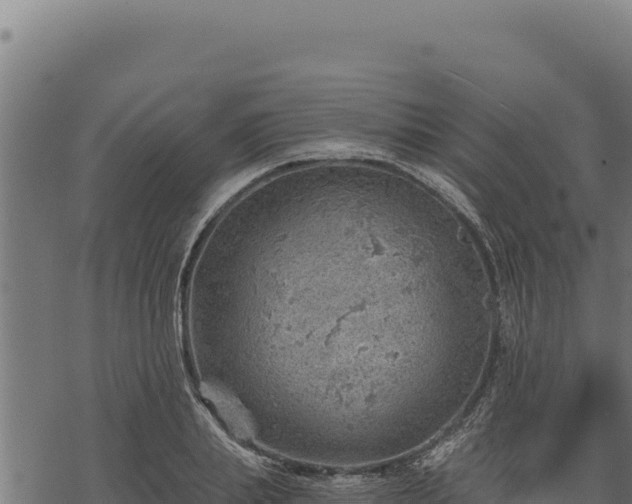 X0000068830839200605121339