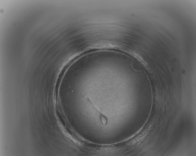 X0000068830840200605121339