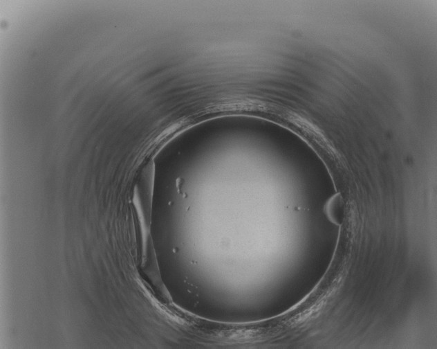 X0000068830841200605121339