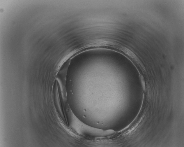 X0000068830842200605121339