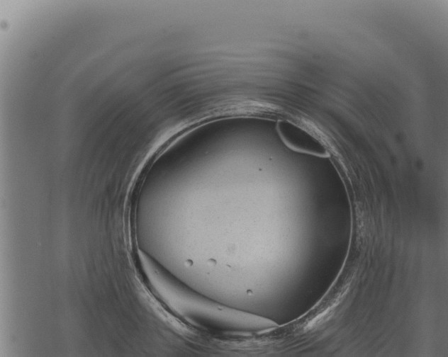 X0000068830843200605121339