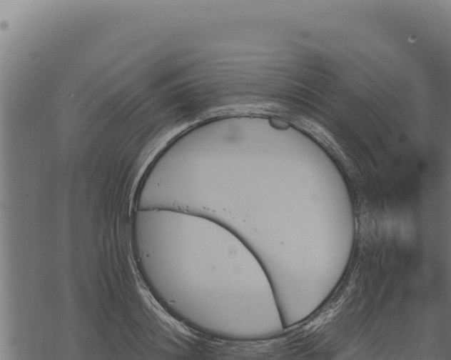 X0000068830844200605121339