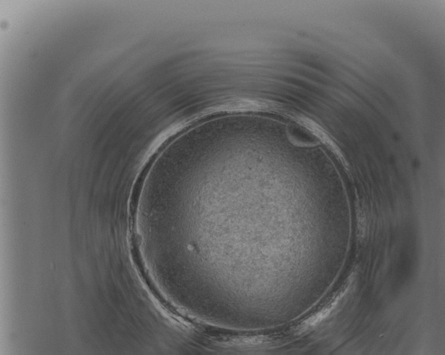 X0000068830845200605121339