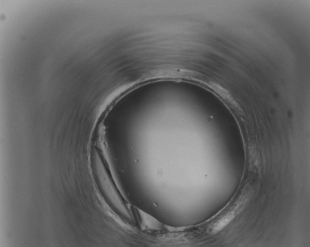 X0000068830846200605121339