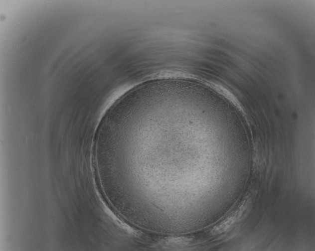 X0000068830847200605121339