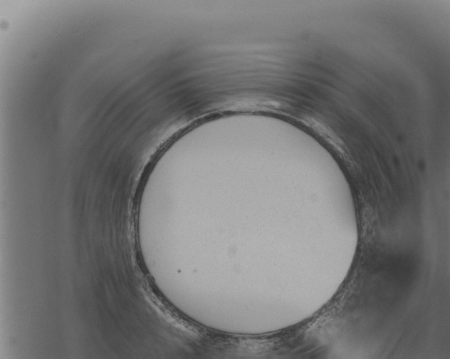 X0000068830848200605121339