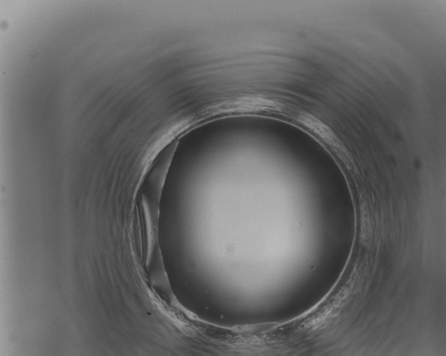 X0000068830850200605121339