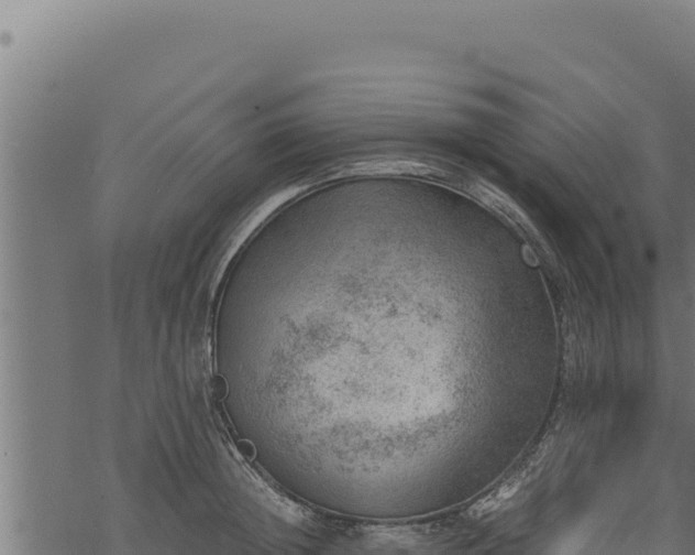 X0000068830852200605121339