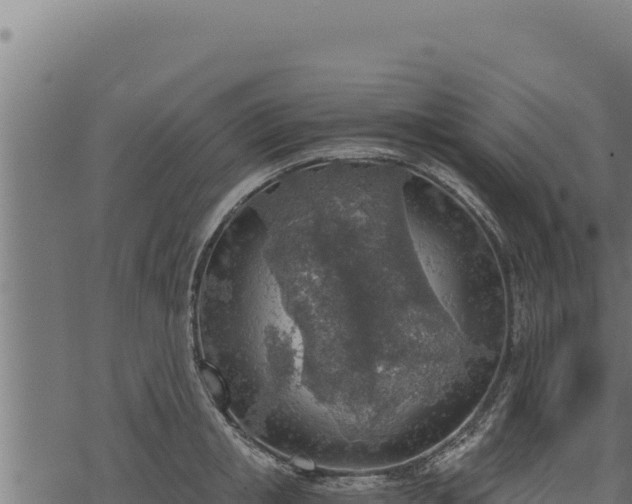 X0000068830853200605121339