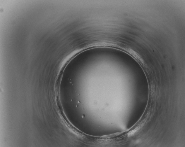 X0000068830854200605121339