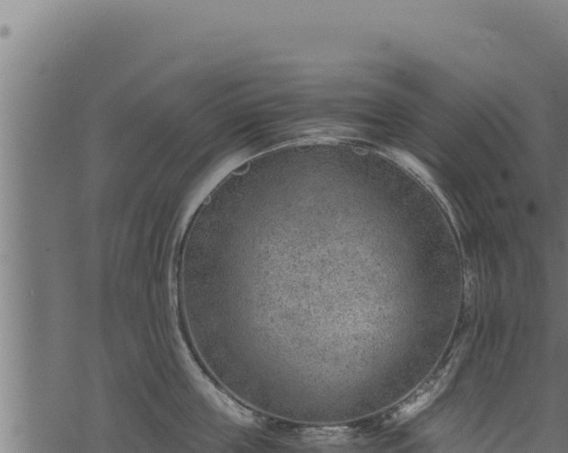 X0000068830859200605121339