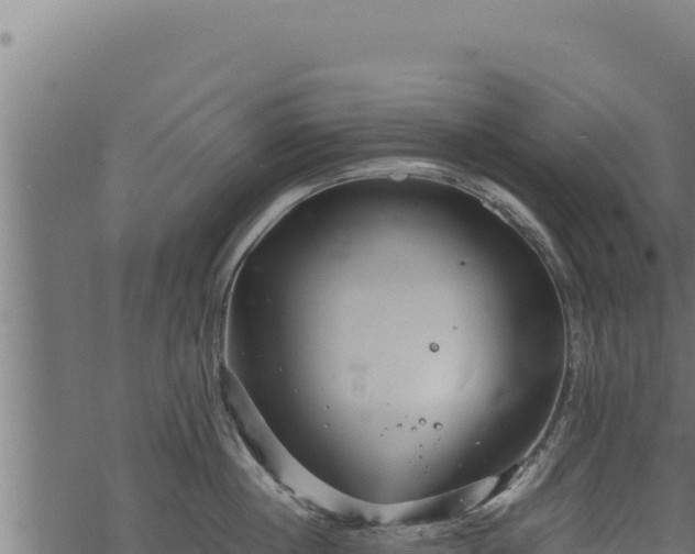 X0000068830860200605121339