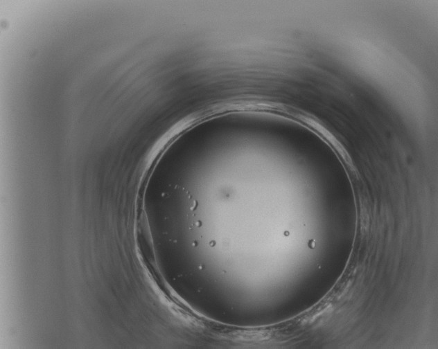 X0000068830861200605121339