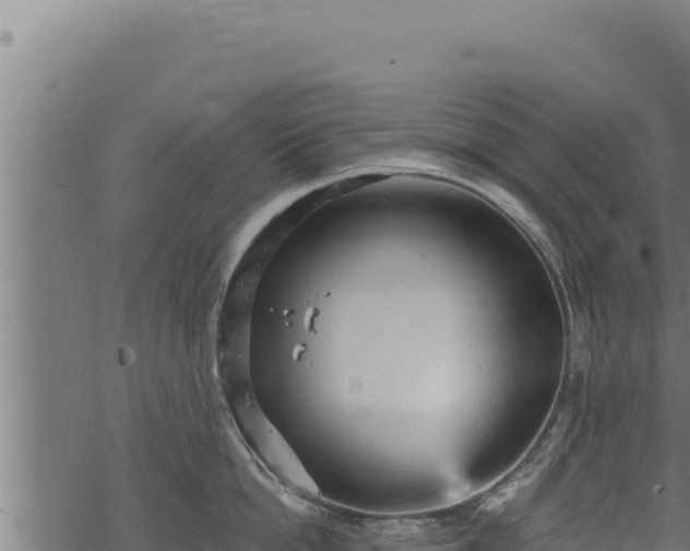 X0000068830862200605121339