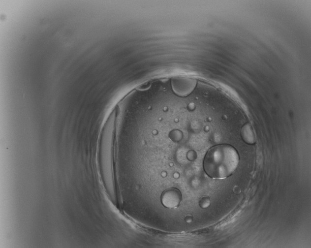 X0000068830863200605121339