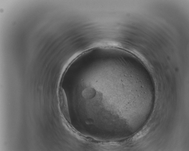 X0000068830864200605121339