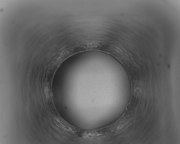 X0000068830866200605121339