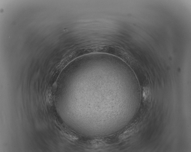 X0000068830867200605121339