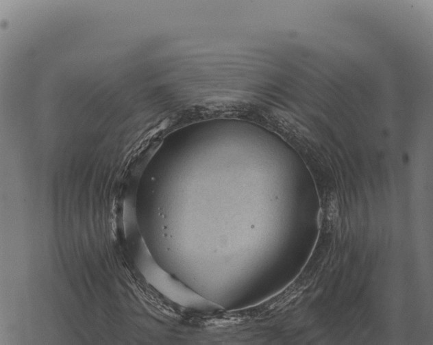 X0000068830868200605121339