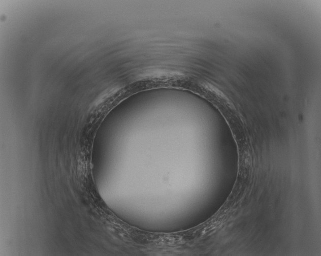 X0000068830869200605121338