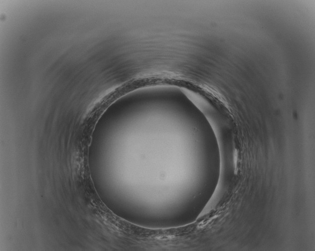 X0000068830872200605121338