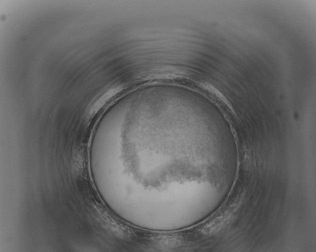 X0000068830874200605121338