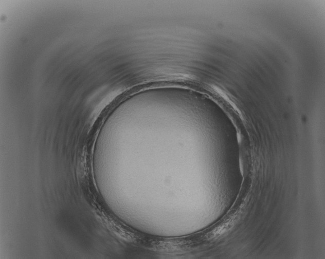 X0000068830875200605121338