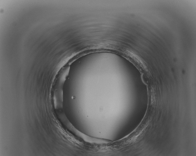 X0000068830876200605121338