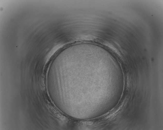 X0000068830878200605121338