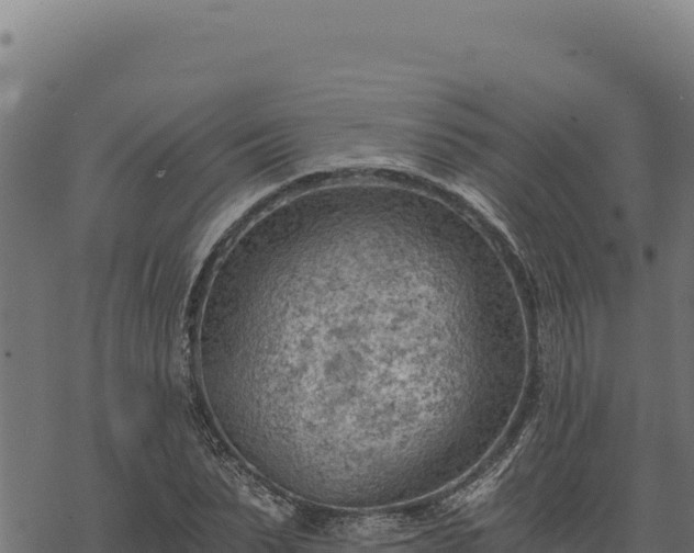 X0000068830879200605121338