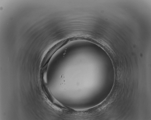 X0000068830880200605121338