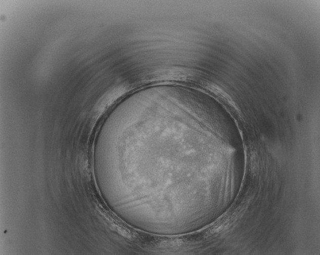 X0000068830882200605121338