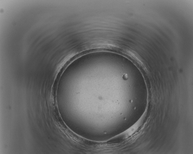 X0000068830883200605121338