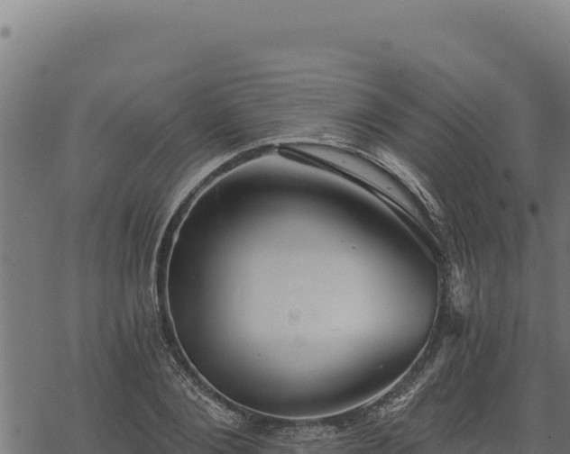 X0000068830884200605121338