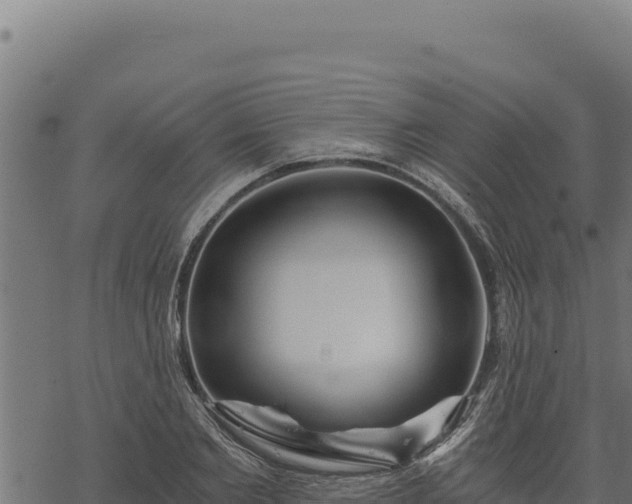 X0000068830885200605121338