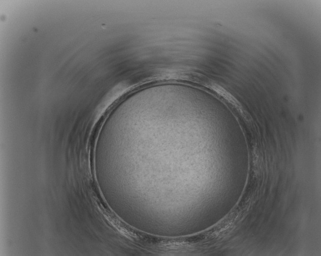 X0000068830886200605121338