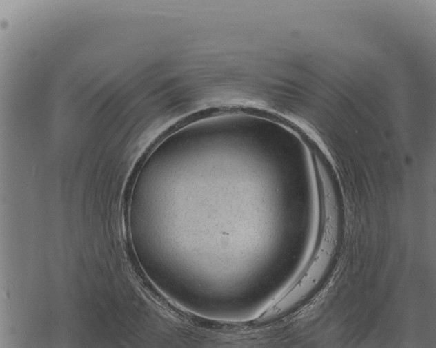 X0000068830887200605121338