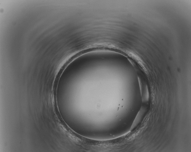 X0000068830888200605121338