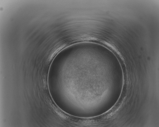 X0000068830889200605121338