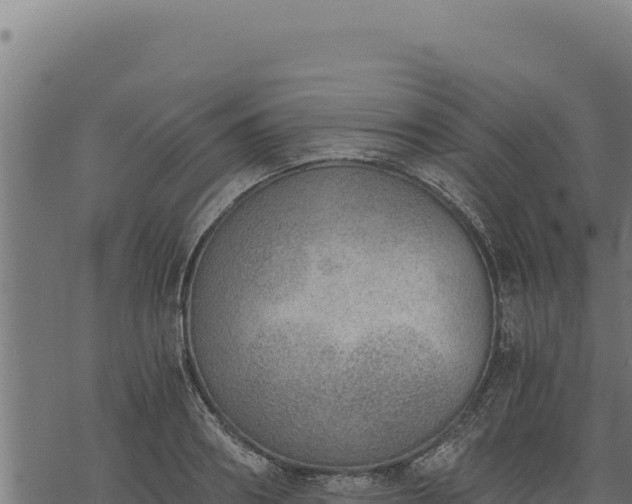 X0000068830890200605121338