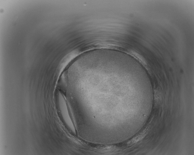 X0000068830891200605121338