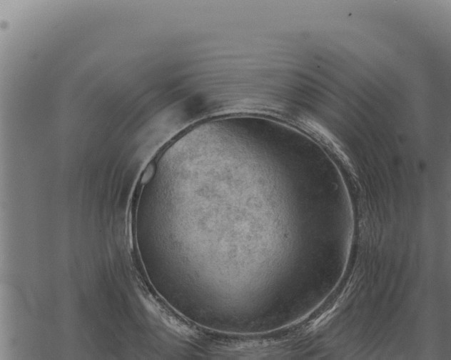 X0000068830892200605121338