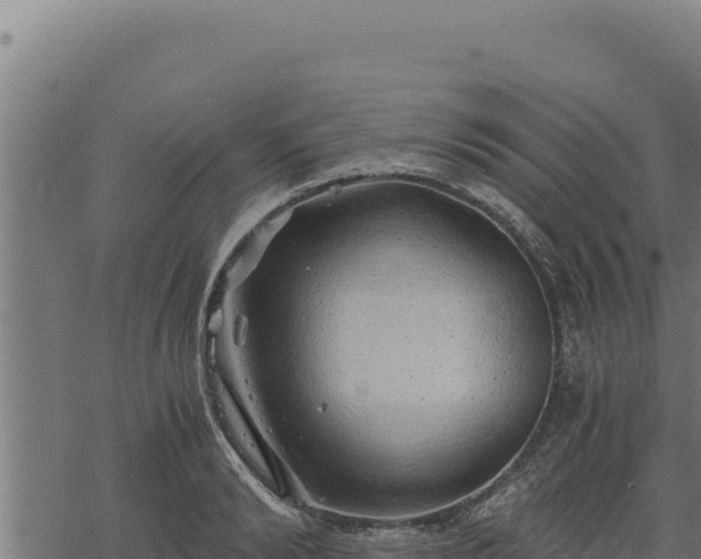 X0000068830894200605121338