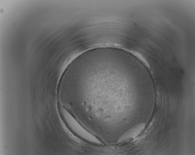 X0000068830895200605121338