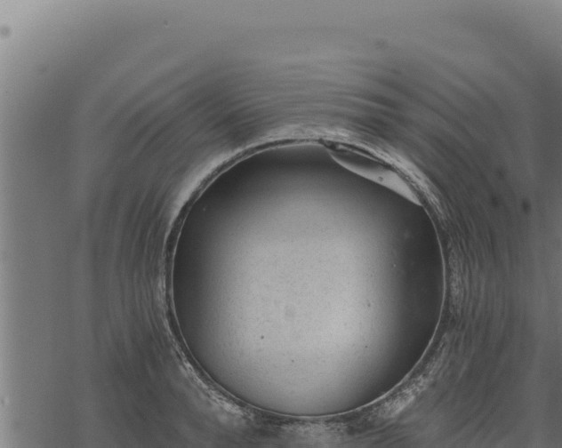 X0000068830896200605121338